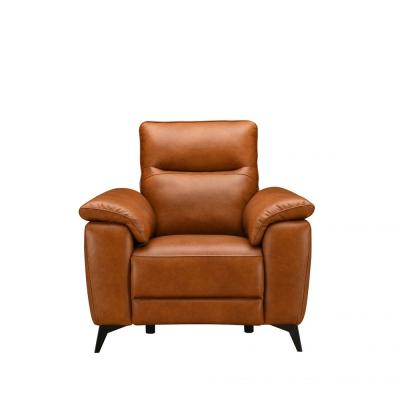 Buoyant Orlando Dion Brandy Fabric Power Recliner Armchair