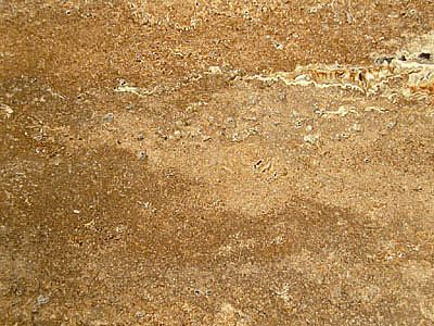 Polished Walnut Travertine