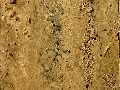 Unfilled-Unpolished-Walnut-Travertine-WTG