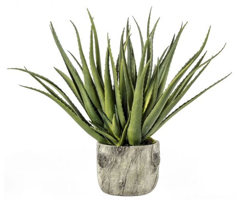 Aloe With Bark Effect Artificial Potted Plant