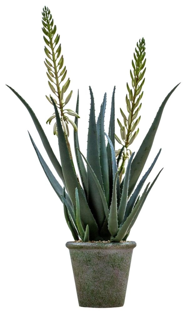 Aloe Artificial Potted Plant