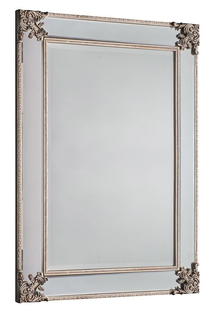 Demi Champagne Rectangular Mirror 83cm X 114cm