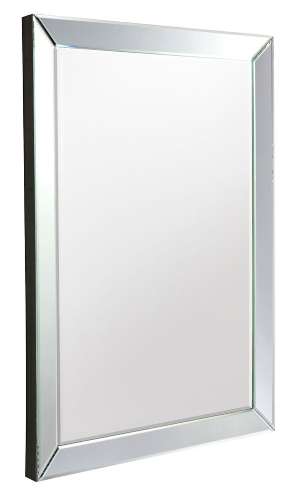 Quinn Rectangular Mirror 61cm X 915cm