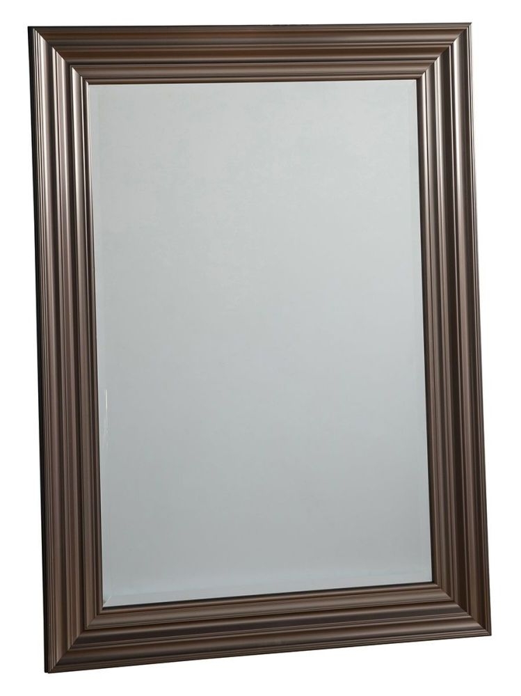 Rose Pewter Rectangular Mirror 805cm X 110cm