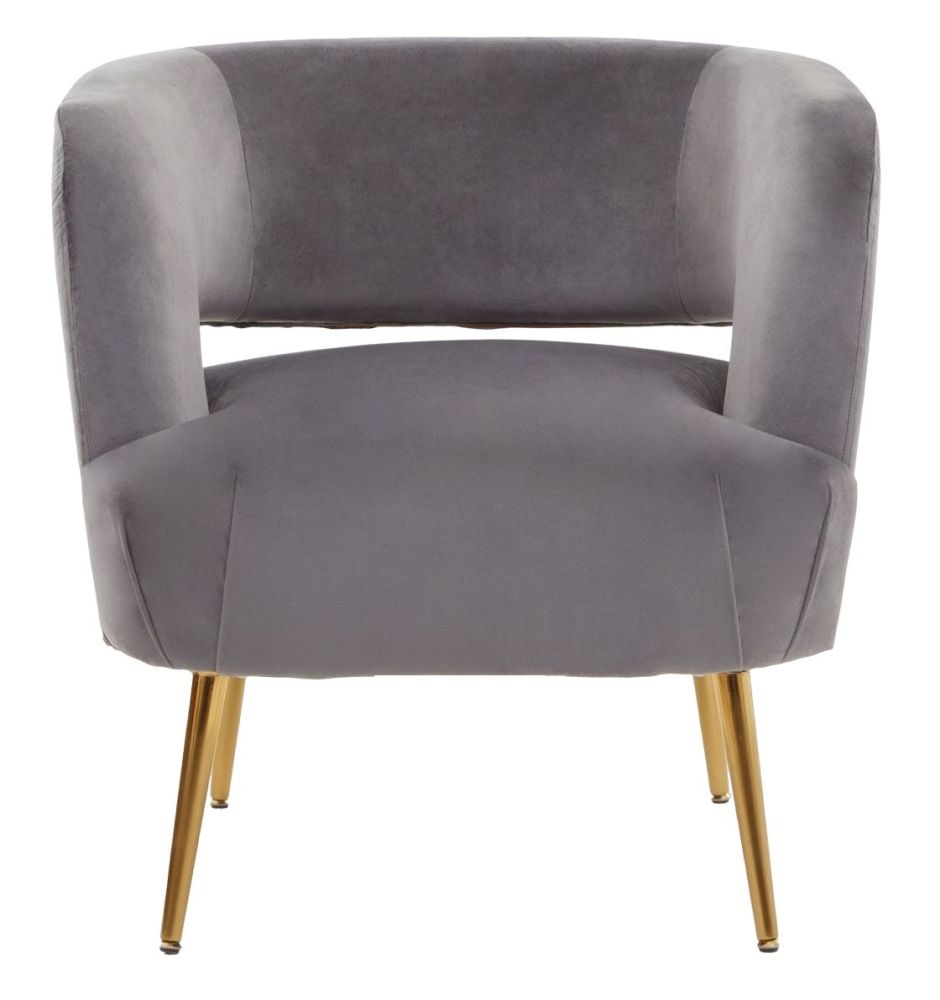 Rayne Grey Accent Chair Velvet Fabric Upholstered With Gold Metal Legs