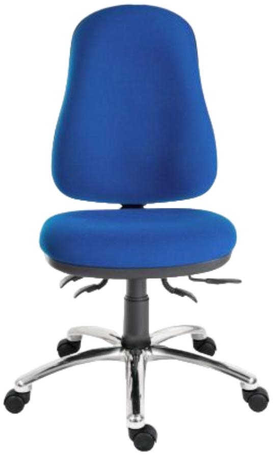 Teknik Ergo Comfort Steel Fabric Executive Adjustable Swivel Office Chair Comes In Black And Blue