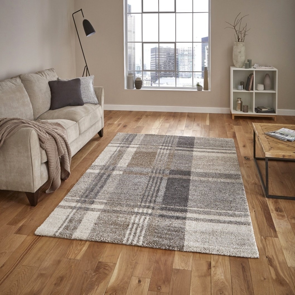 Elegant Beige And Grey Rug 4892