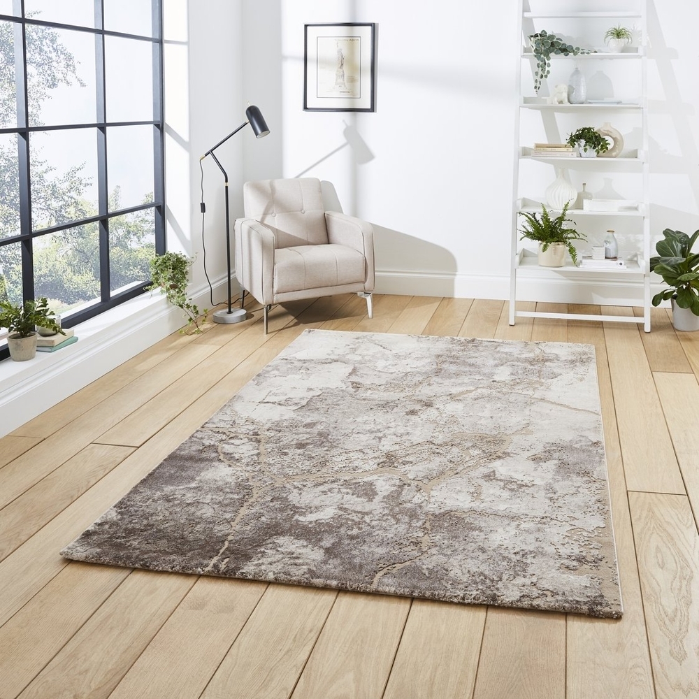 Florence Beige And Silver Rug 50032