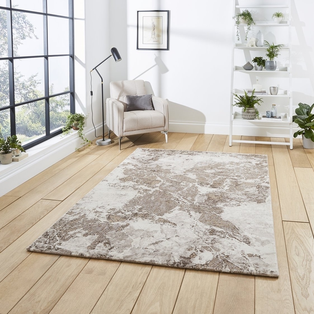 Florence Beige And Silver Rug 50033