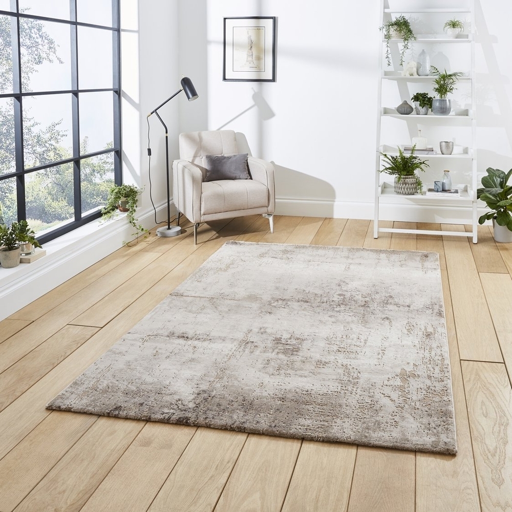 Florence Beige And Silver Rug 50034