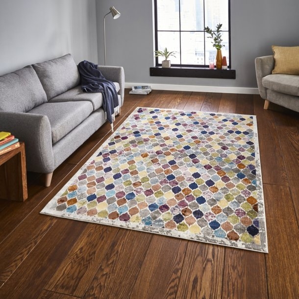 16th Avenue Multi Colored Rug 35a