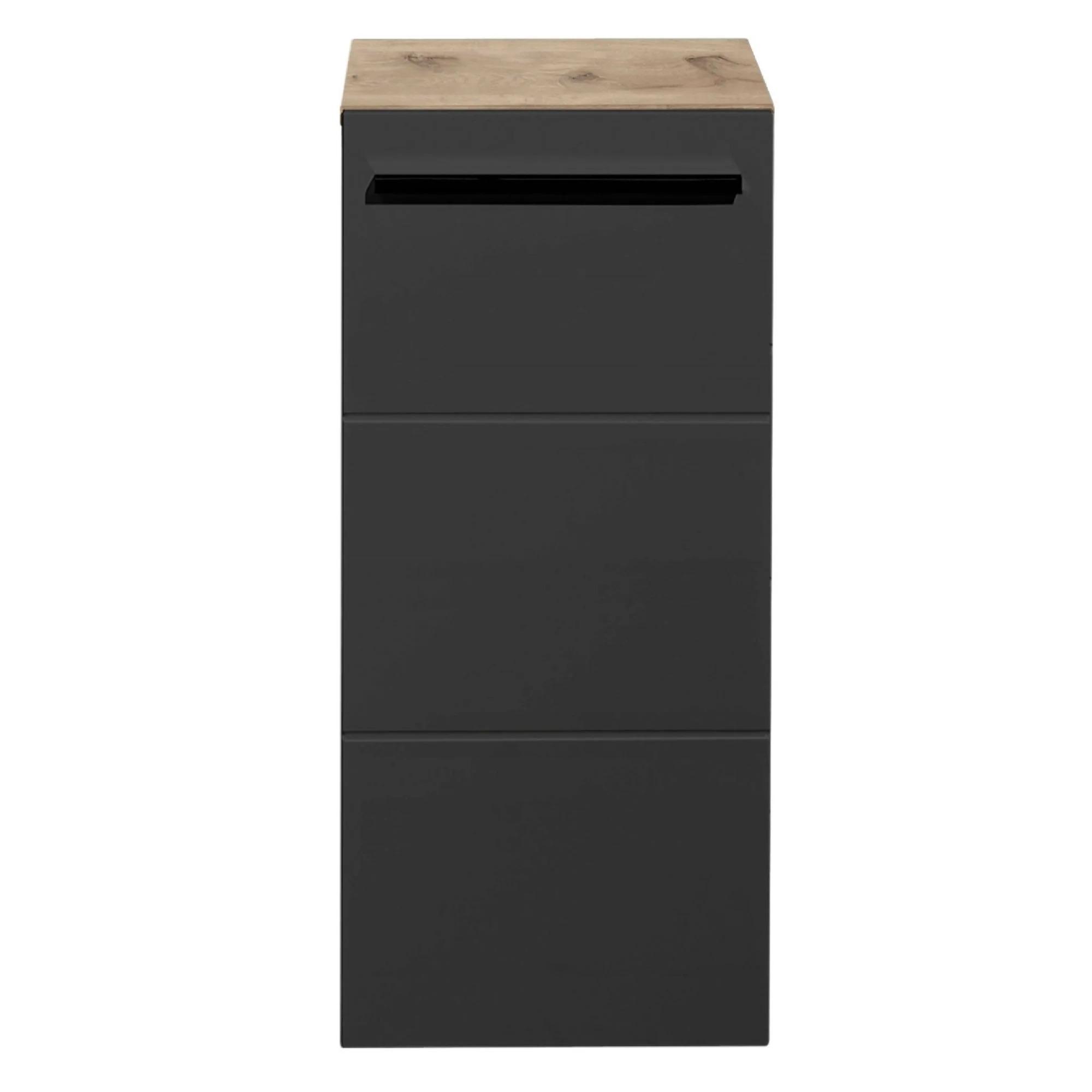 Vista Storage Cabinet - 1 Door - Oak and Black