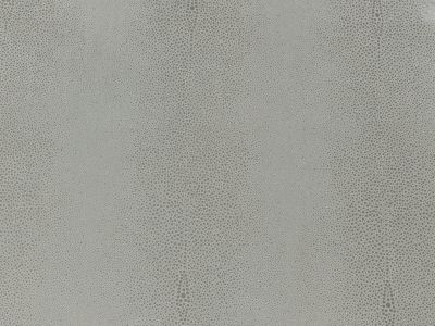 G005 : Econabuck Light Grey Shagreen