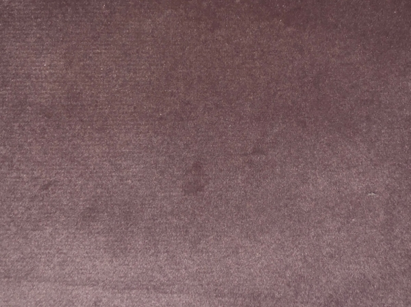 Scarlet 29 Light Violet