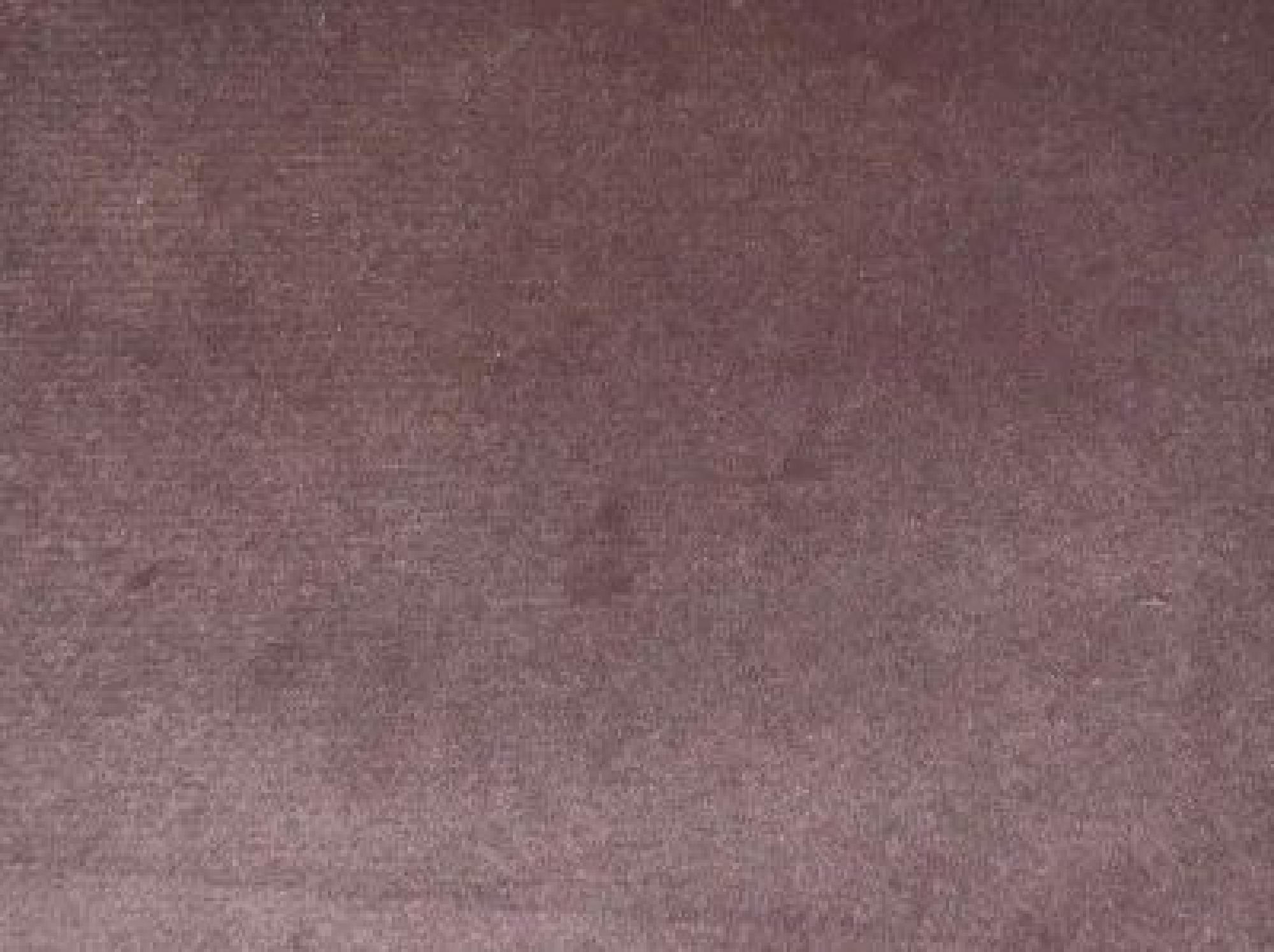 Scarlet 29 Light Violet