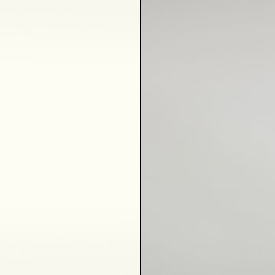 Alpine White with Champagne Faux Leather 593