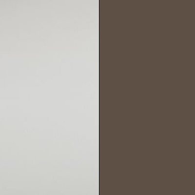 Champagne with Havana Faux Leather 602