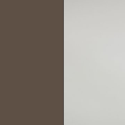 Havana with Champagne Faux Leather 595