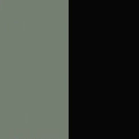 Reed Green Front with Matt Black Base