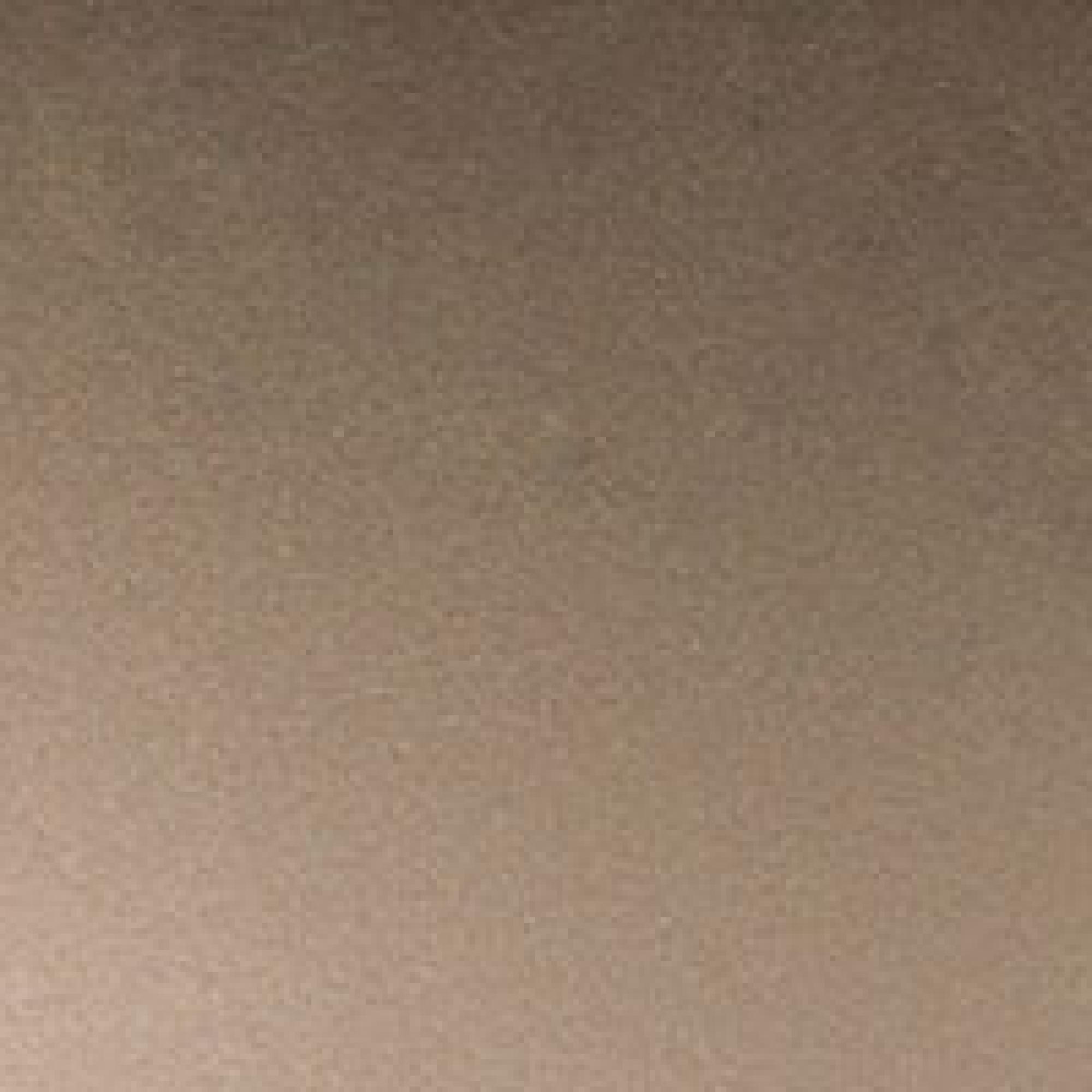 LB : Light Bronze Metallic Coating