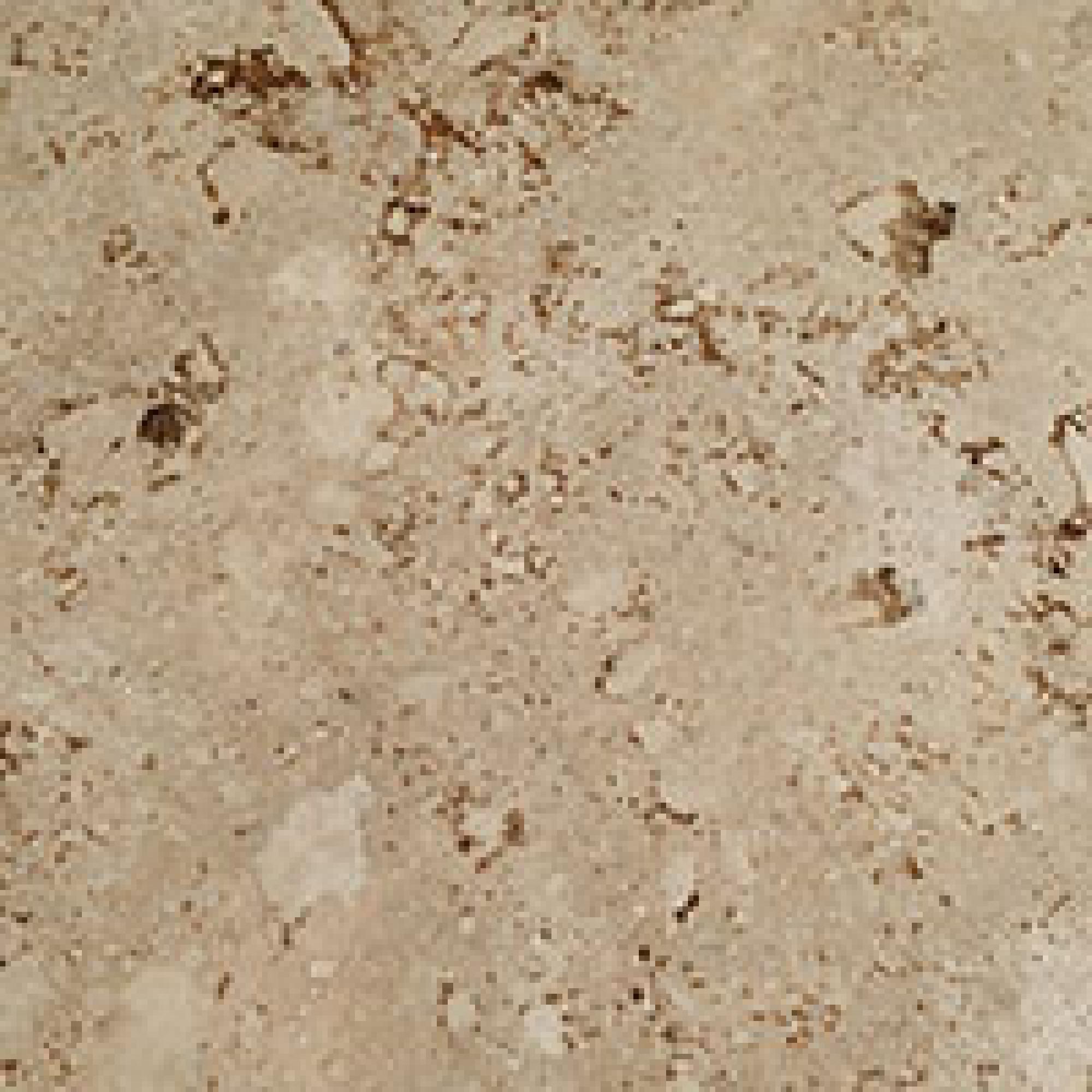 TSG : Tivoli Crystallized Gold