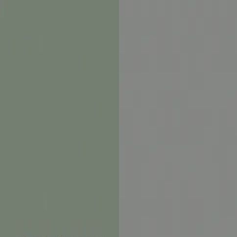 Reed Green Front with Dusk Grey Base