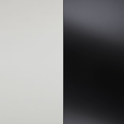 Champagne Carcase with Black Glass Front 602