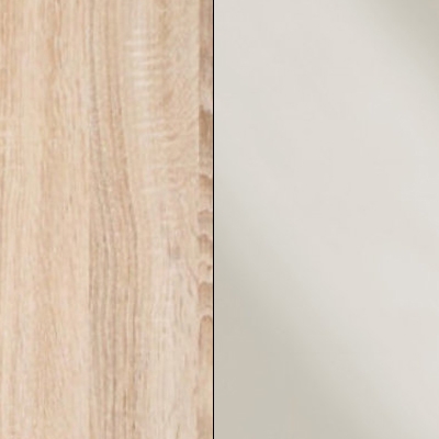 Rustic Oak Carcase with Magnolia Glass Front 599