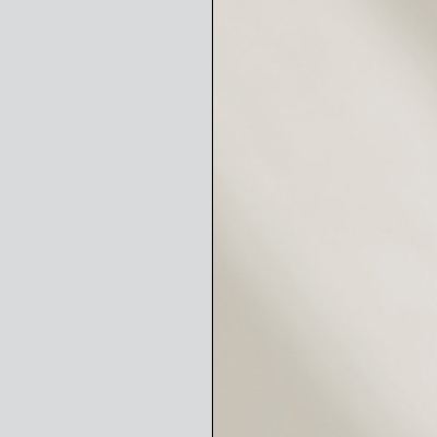 Silver Carcase with Magnolia Glass Front 596