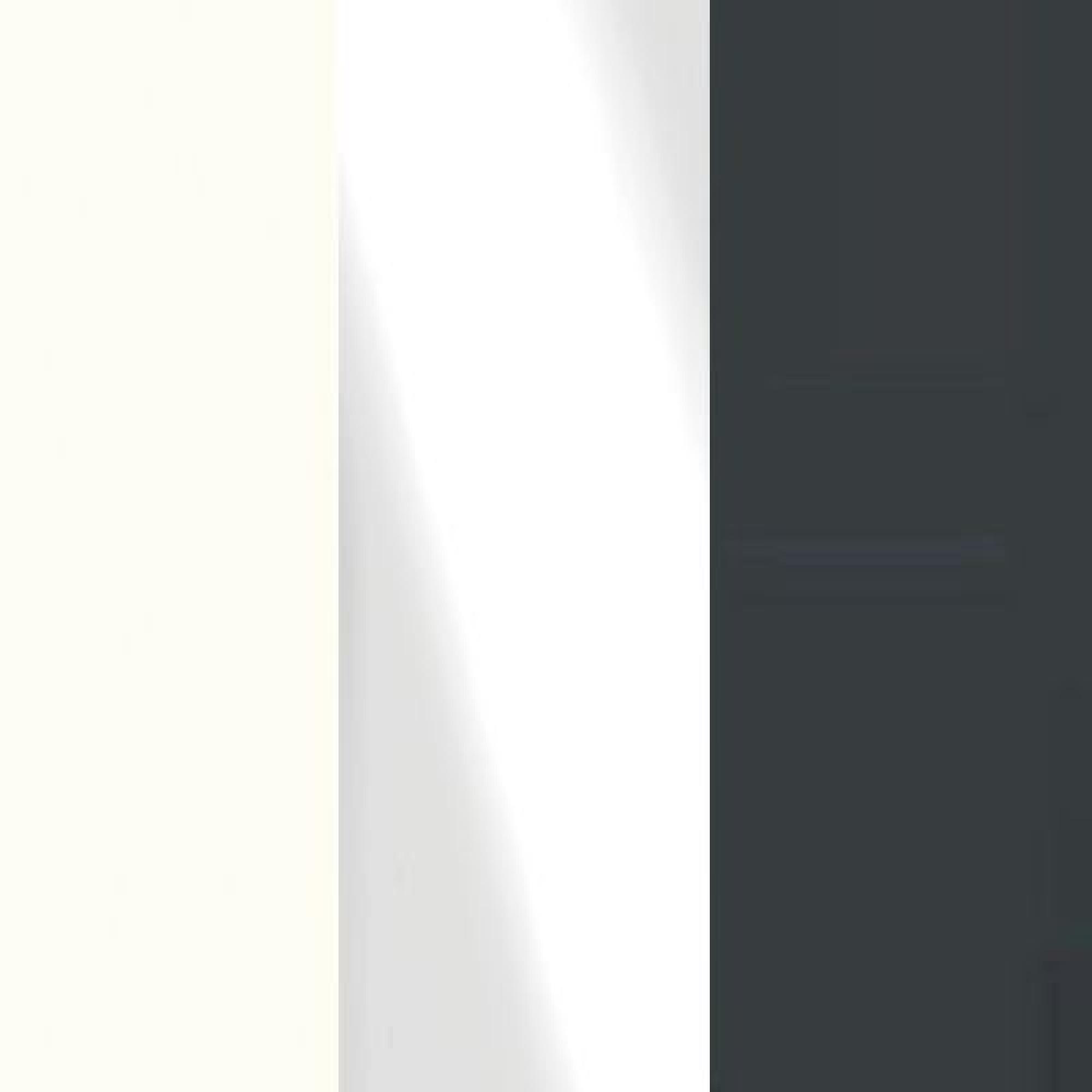 White Carcase with White Glass Front and Slate Handle 954