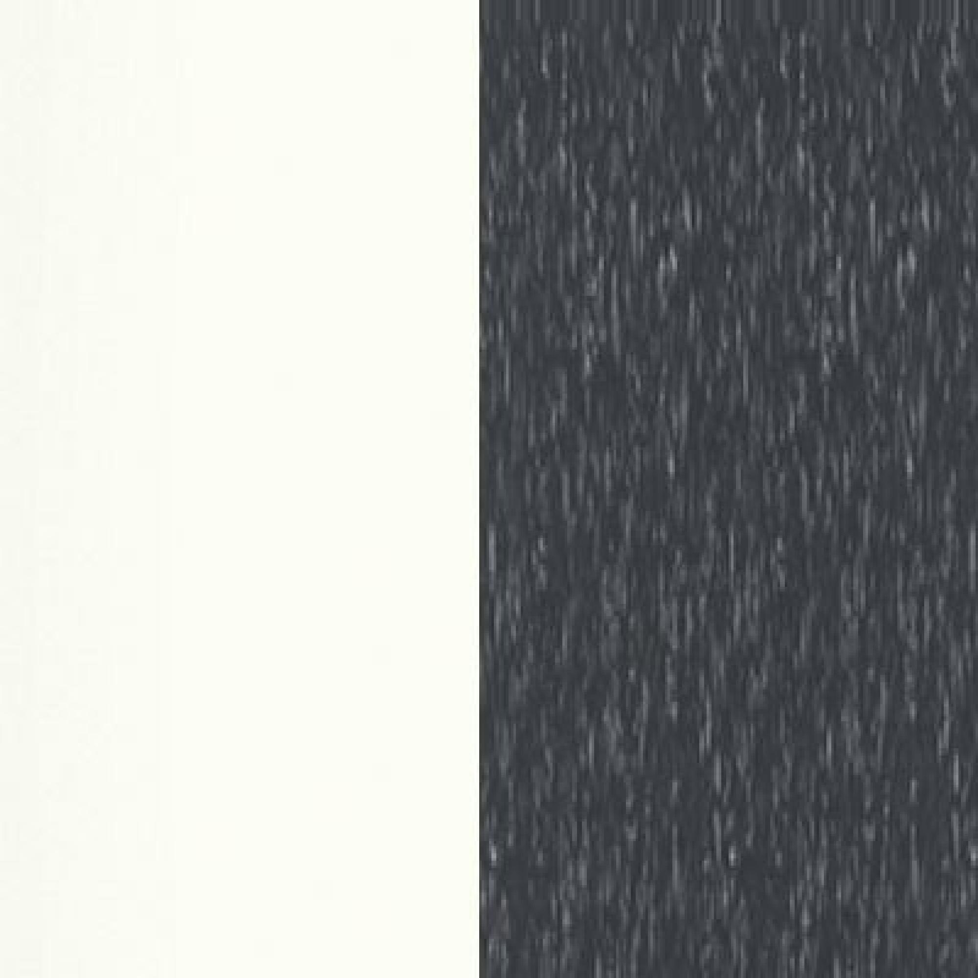 White Carcase Color and Front with Slate Handle 571