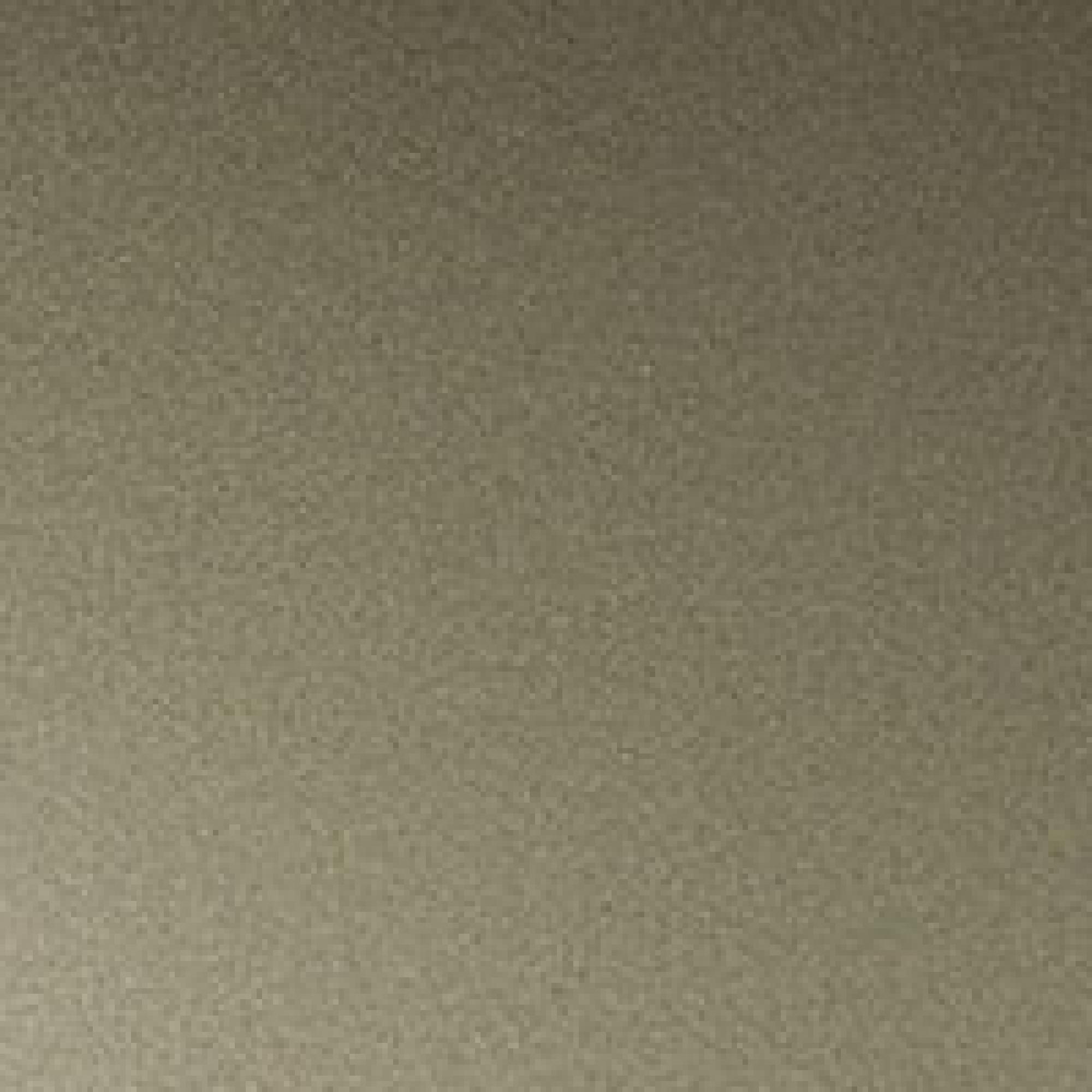 CH : Champagne Metallic Coating