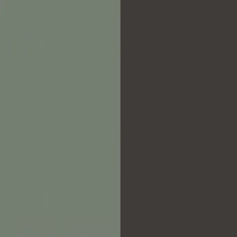 Reed Green Front with Graphite Base