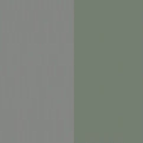 Duck Grey Front with Reed Green Base