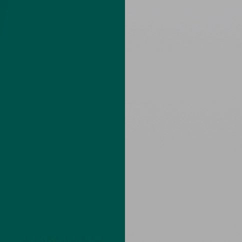 Labrador Front with Matt Grey Base