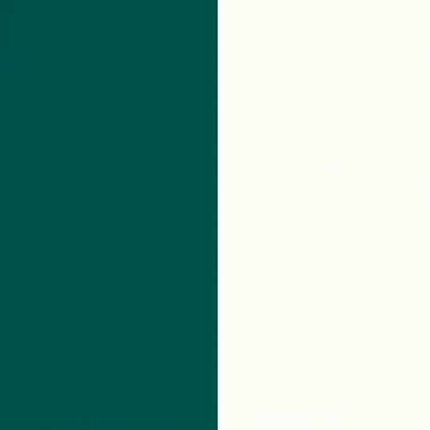 Labrador Front with Matt White Base