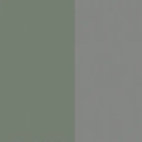 Reed Green Front with Matt Grey Base