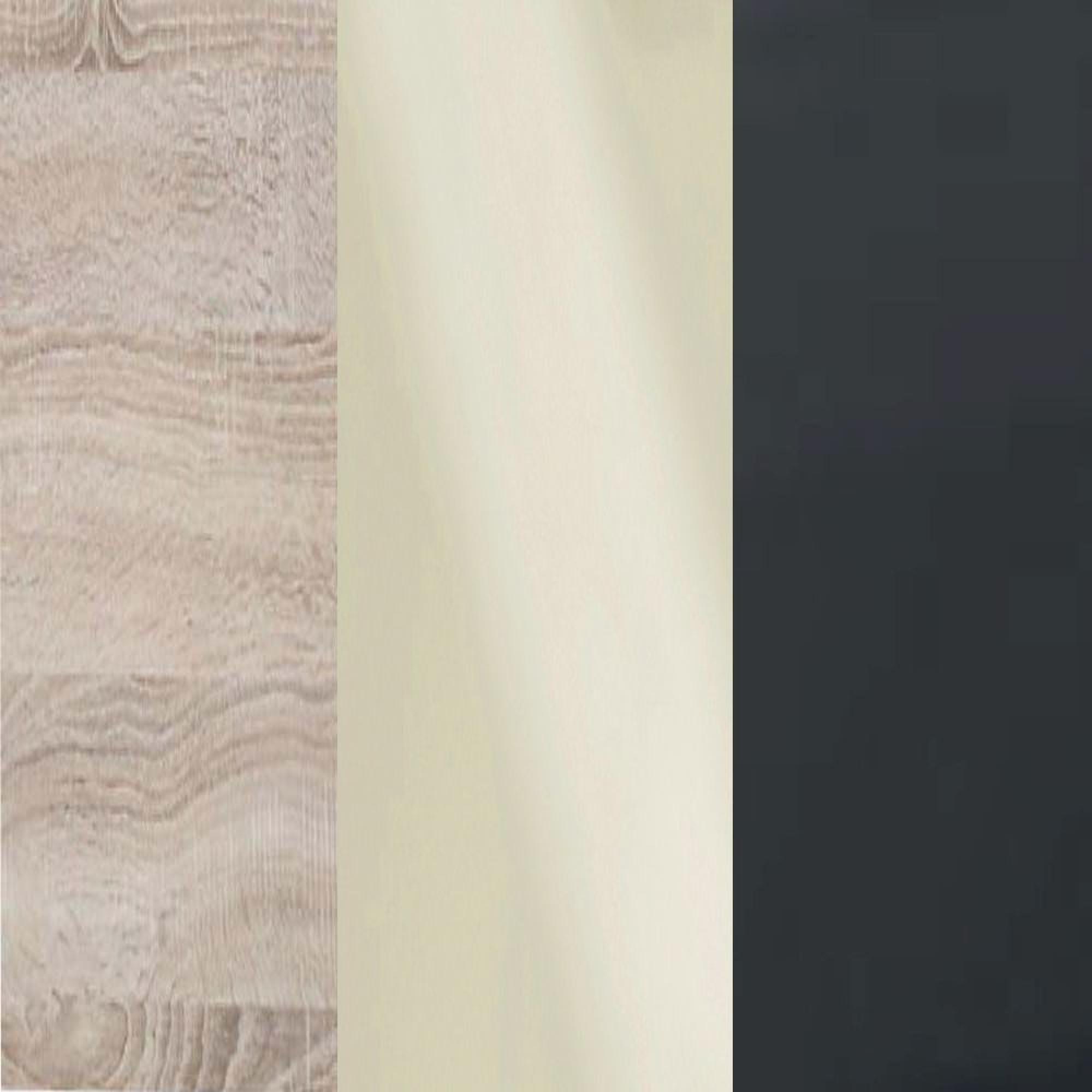 Rustic Oak Carcase and Magnolia Glass Front with Slate Handle A93