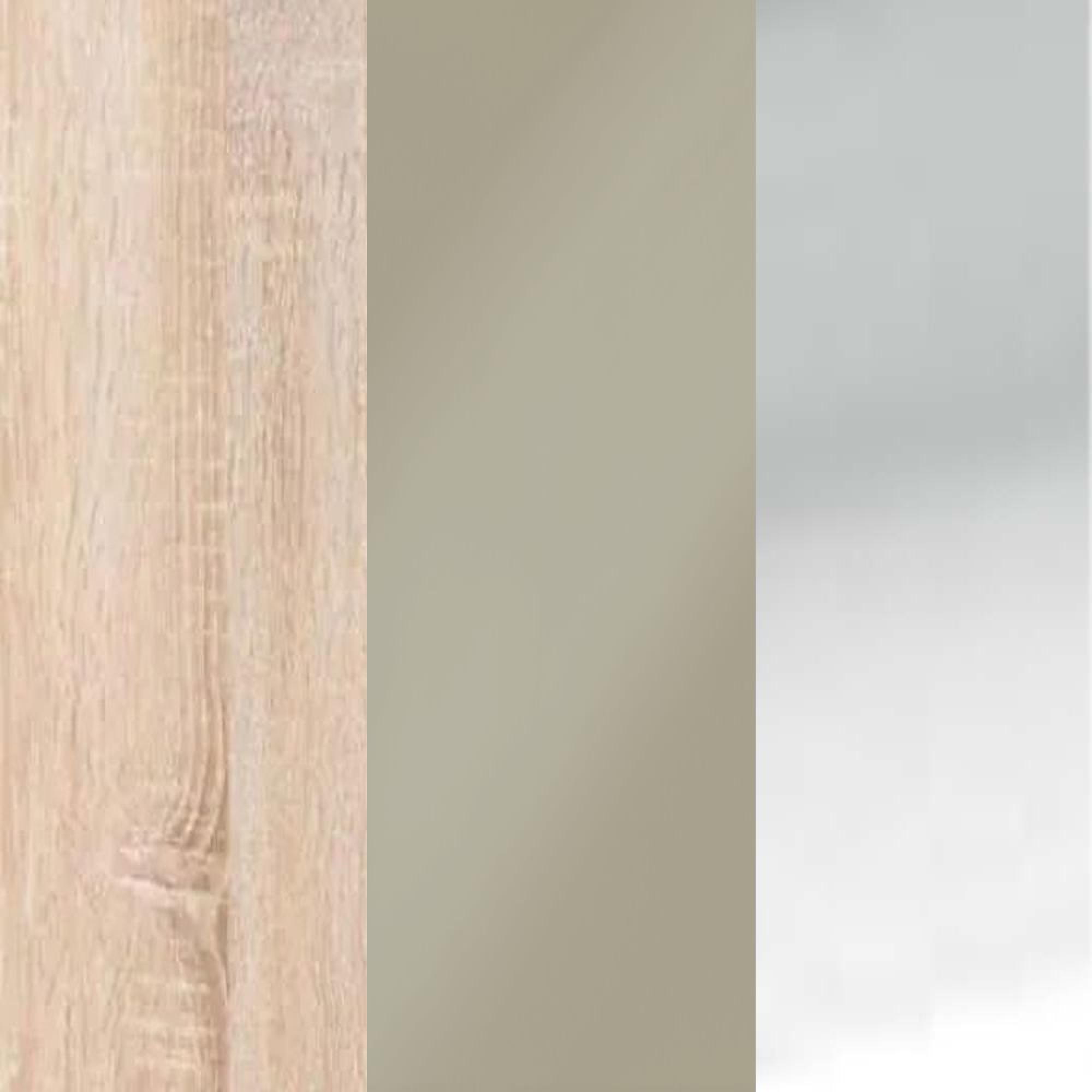 Rustic Oak Carcase and Pebble Grey Glass Front with Silver Handle 443