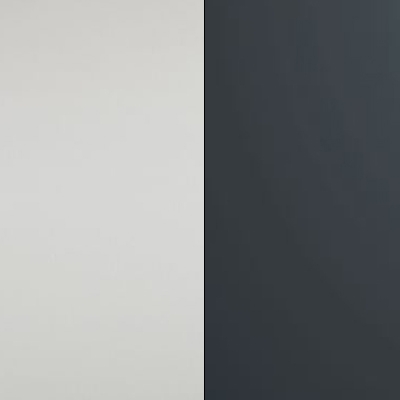 Champagne Carcase with Dark Grey Glass Front 602