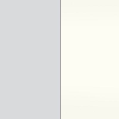 Silver Carcase with Alpine White Front 596