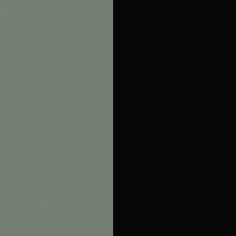 Reed Green Front with Matt Black Base