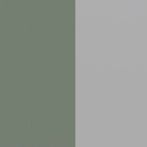 Reed Green Front with Matt Grey Base