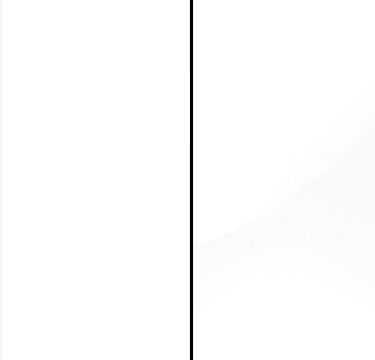 Alpine White Carcase with High Polish White Front A076A