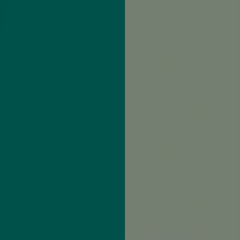 Labrador Front with Reed Green Base