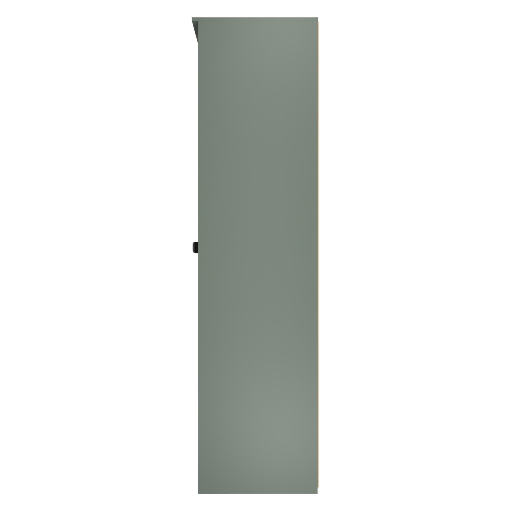 Bora Wardrobe - 1 Door - Tall - Gold Craft Oak and Reed Green