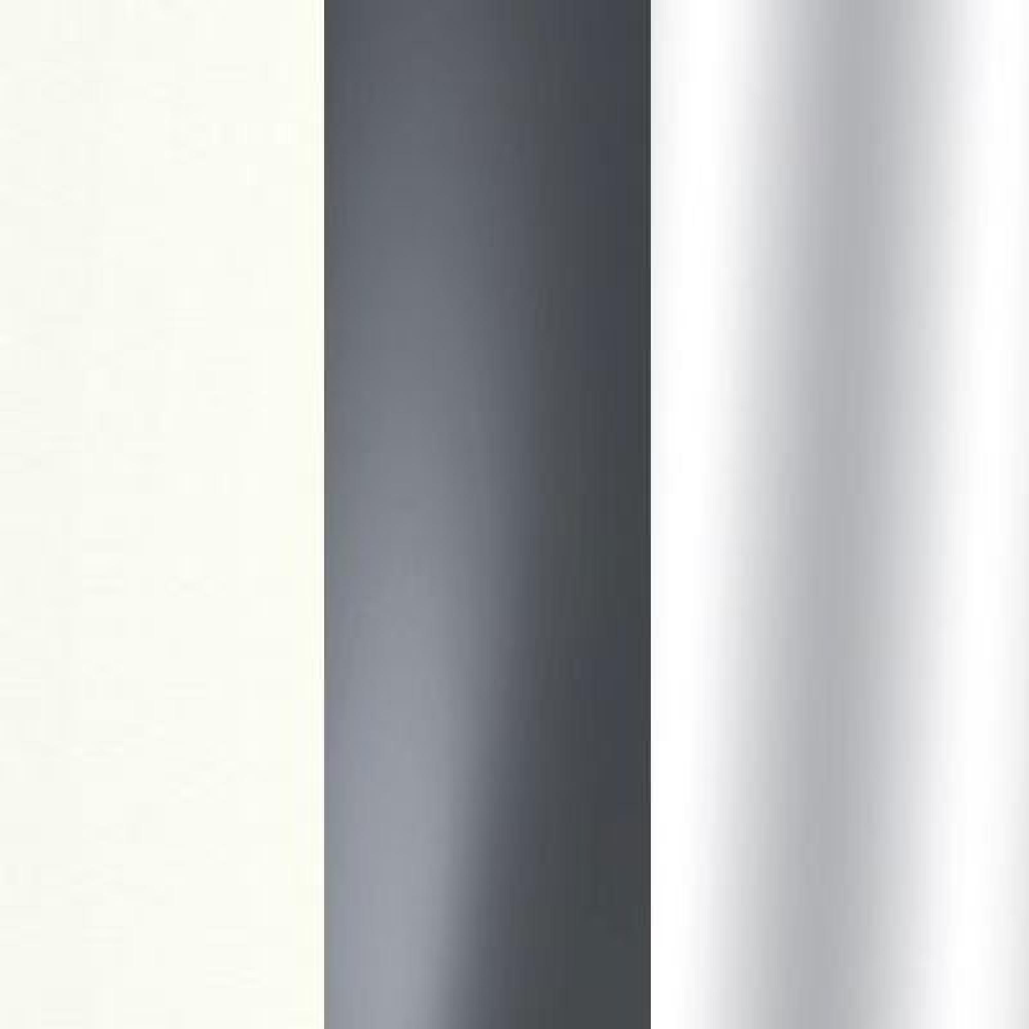 White Carcase Color and Front with Graphite Glass and Slate Trims 571