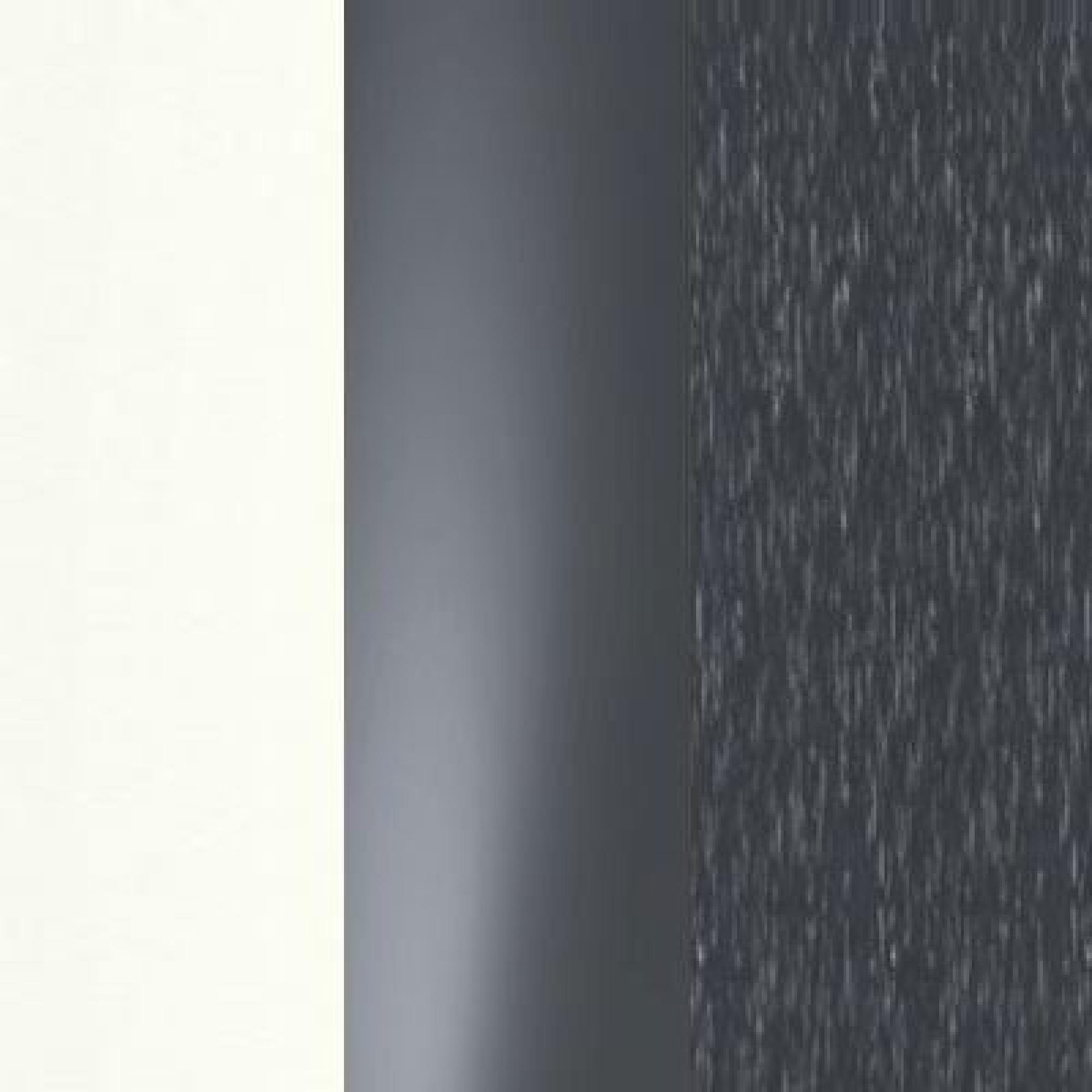 White Carcase Color and Front with Graphite Glass and Slate Trims 571