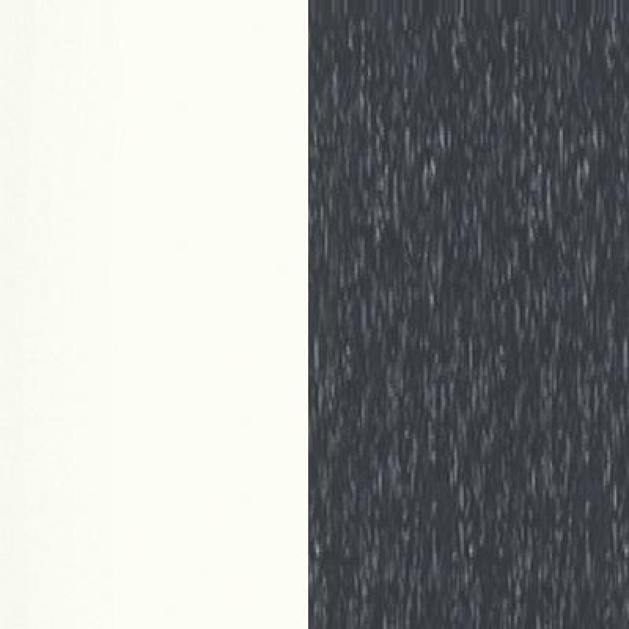 White Carcase Color and Front with Slate Trims 571