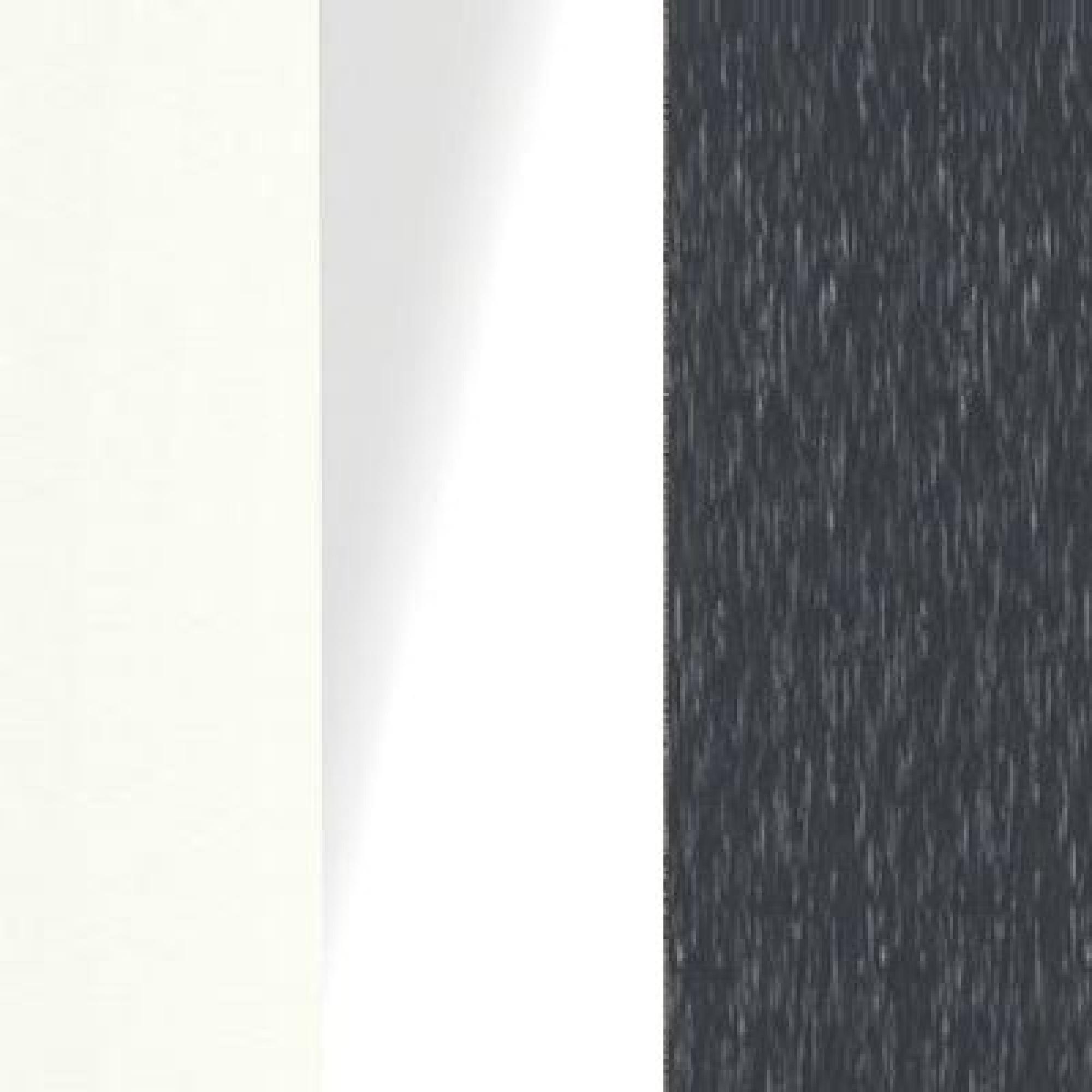 White Carcase Color with White Glass Front and Slate Trims 571